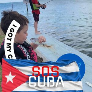 Meet your Posher, Ileana